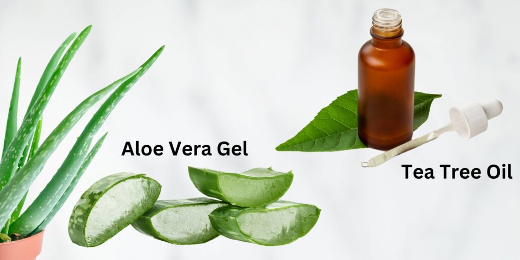 Tea Tree Oil
Aloe Vera Gel