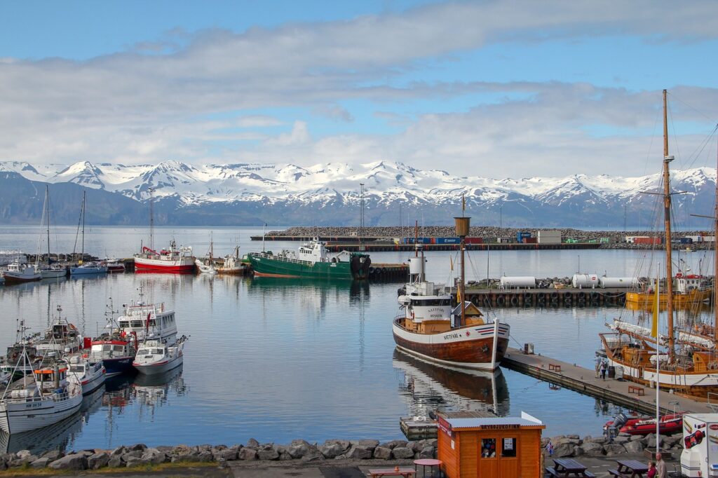 husavik, nature, iceland